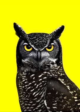Owl portrait on yellow background