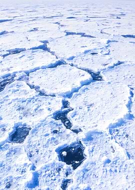 Frozen Landscape with Cracks and Ice