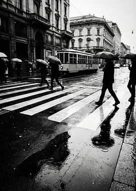 Rainy City Crossing with Tram