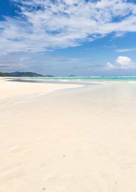 Tropical Beach with White Sand