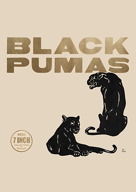 Black Pumas Collector's Edition Art
