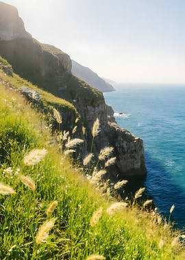 Coastal Cliffside with Grass and Ocean