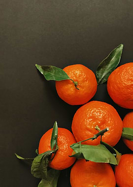 Tangerines with Leaves on Dark Background