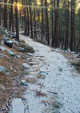 The Winding Way Back Home