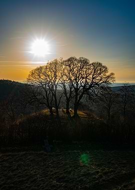 Sunset over trees on a hill