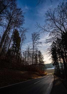 Road Through Forest with Contrail