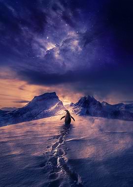 Penguin Walking Alone