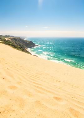 Coastal Sand Dune Landscape