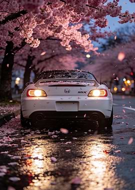 White Honda S2000 with Cherry Blossoms