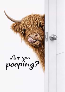 Are You Pooping Highland Cow