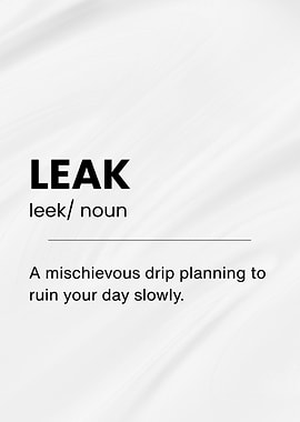 LEAK Definition