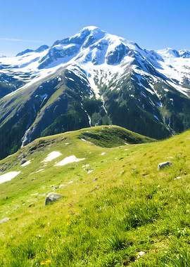 Snowy Mountain Peak with Green Meadow