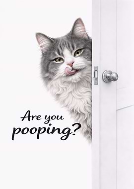 Are You Pooping Cat
