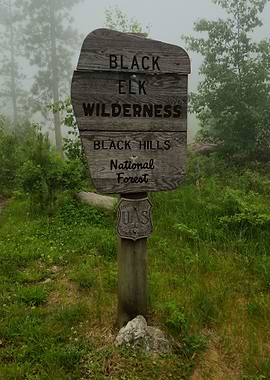 Foggy Black Elk Wilderness Sign
