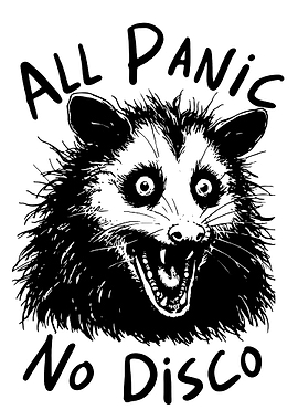 All Panic No Disco Opossum