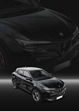 Black Alfa Romeo Junior Car