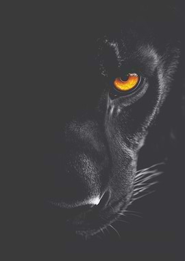 Black Panther Portrait with Golden Eye