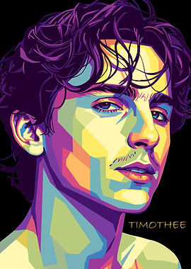 Timothée Chalamet Pop Art Portrait