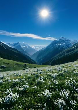 Alpine Meadow with Snow-Capped Mountains