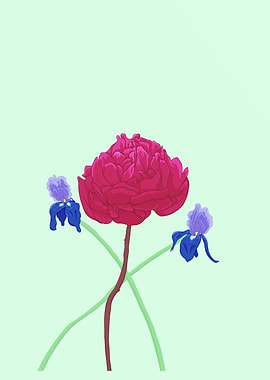 Floral Arrangement Peony flower and 2 Iris flowers