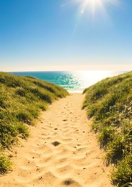 Sandy path to the ocean