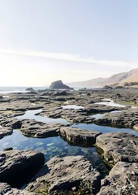 Rocky beach with tide pools landscape