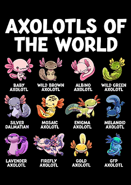 Axolotls of the World Poster, Cute Axolotl Illustration Art, Colorful Animal Wall Print