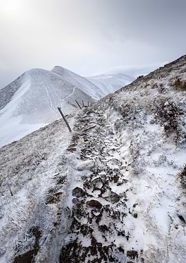 Auvergne - Snowy Mountain Trail Landscape