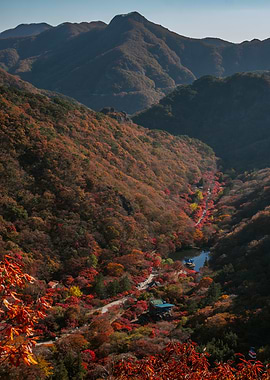 Autumn Landscape in South Korea