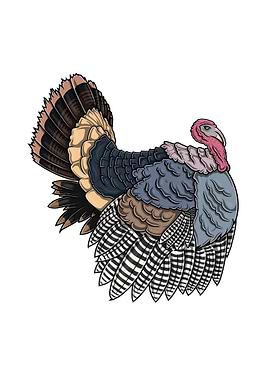 Stylized Turkey Illustration on White Background