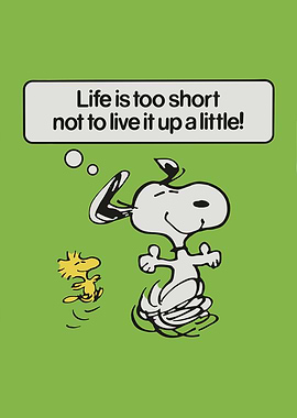 Snoopy and Woodstock: Live it up!