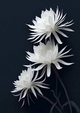 Elegant White Flowers on Dark Background