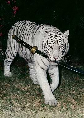 White Tiger with Katana