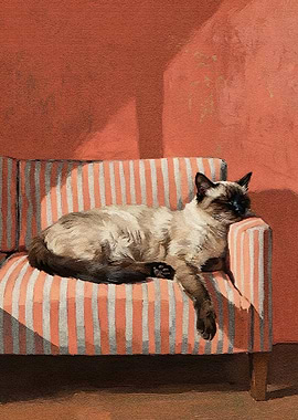Sleeping Siamese Cat on Striped Couch