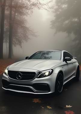 Mercedes AMG C63 in Forest