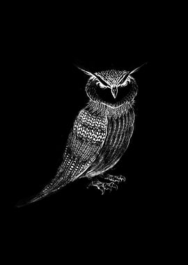 Tattooed Owl