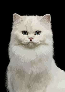 White Persian Cat Portrait