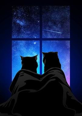 Cats watching the night sky together