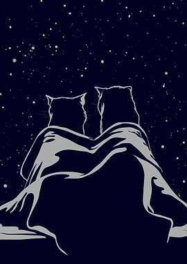 Cats Under Blanket Stargazing