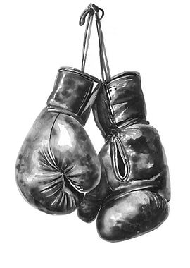 Boxing Gloves Hanging