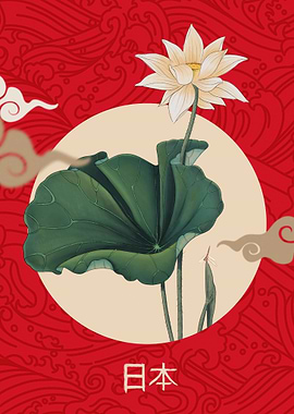 Japanese Lotus Flower