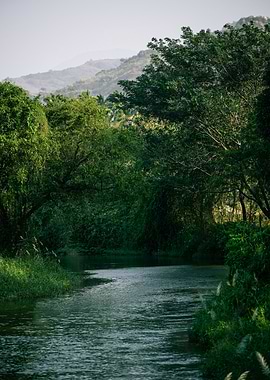 River Flowing Through Lush Greenery