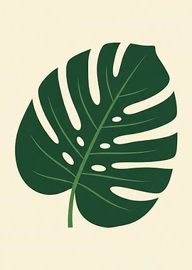 Monstera Leaf Illustration