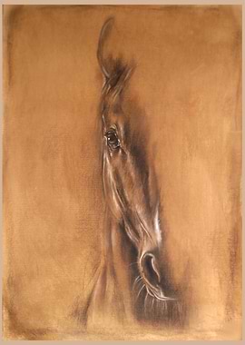 Brave Spirit - Close-up of a Horse's Head