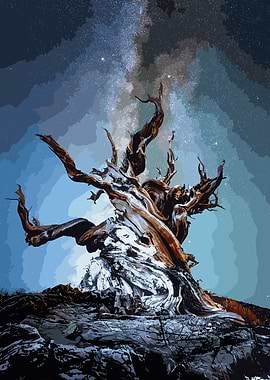 Ancient Tree Under the Milky Way
