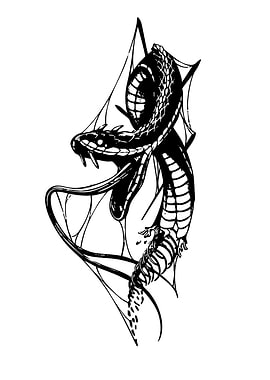 Black Snake in Spider Web