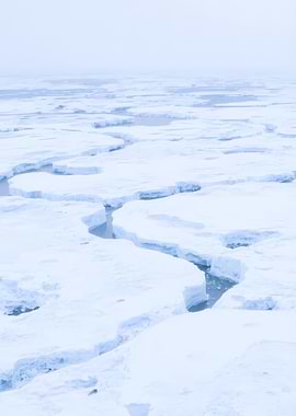 Cracked Ice Floes in Fog