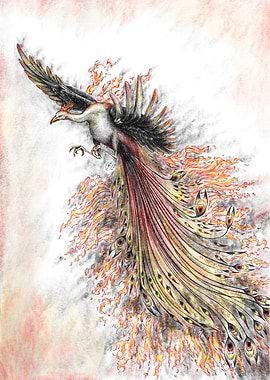 Phoenix Rising from Flames