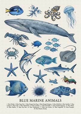 Blue Marine Animals Illustration