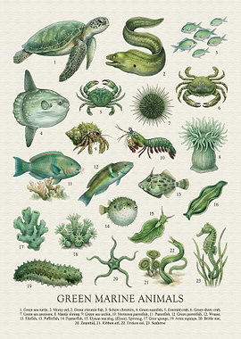Green Marine Animals Illustration